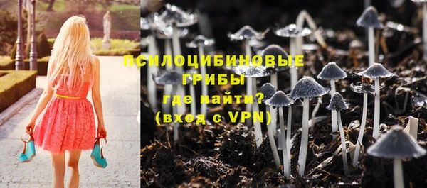 2c-b Богородицк