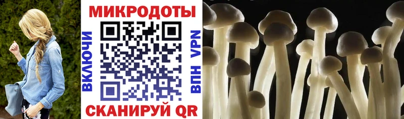 Галлюциногенные грибы Psilocybe Кодинск